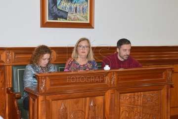 Sesión plenaria correspondiente al mes de noviembre (Foto Francisco Javier Santana)